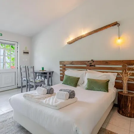 Buganvilias House At Fountain Retreat I Pool, Jacuzzi & Sports Escape 아파트 *